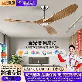 风扇灯;吸顶灯;智能家居