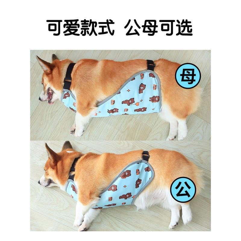 寵物狗狗肚兜防水保暖防涼防髒柯基衣服肚兜肚子防水雨衣博美泰迪