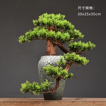 禅意摆件小盆栽新中式植物玄关装饰品客厅桌面迎客松盆景