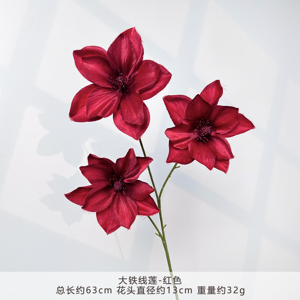 Mj - large clematis - red