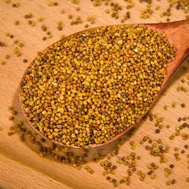 大货批发菟丝子内蒙新货水洗无硫吐丝子500g散装泡茶泡酒支持代发