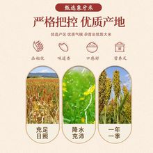 长粒香米20斤新米晚稻丝苗米煲仔饭蛋炒饭猫牙米煮饭10斤大米批发