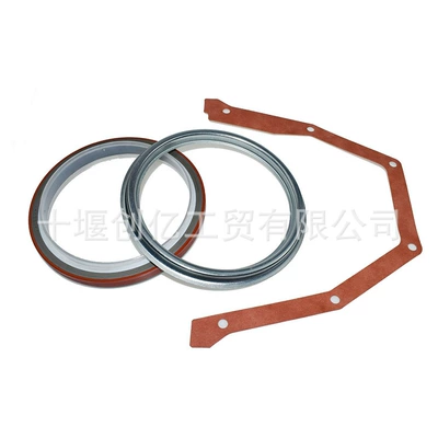 Oil Seal 3925529: Shiyong Oil seal