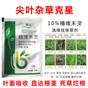 ��୺��`���݄����������R�ƹ�β��é��Ұ�������~�ݳ��݄��r��