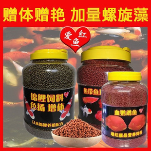Koi Fortune-Attracting Parrot Fish Goldfish Color-Enhancing Fish Food Tropical Fish Feed Non-Cloudy Water Body-Building Fish Love Red Fish Food