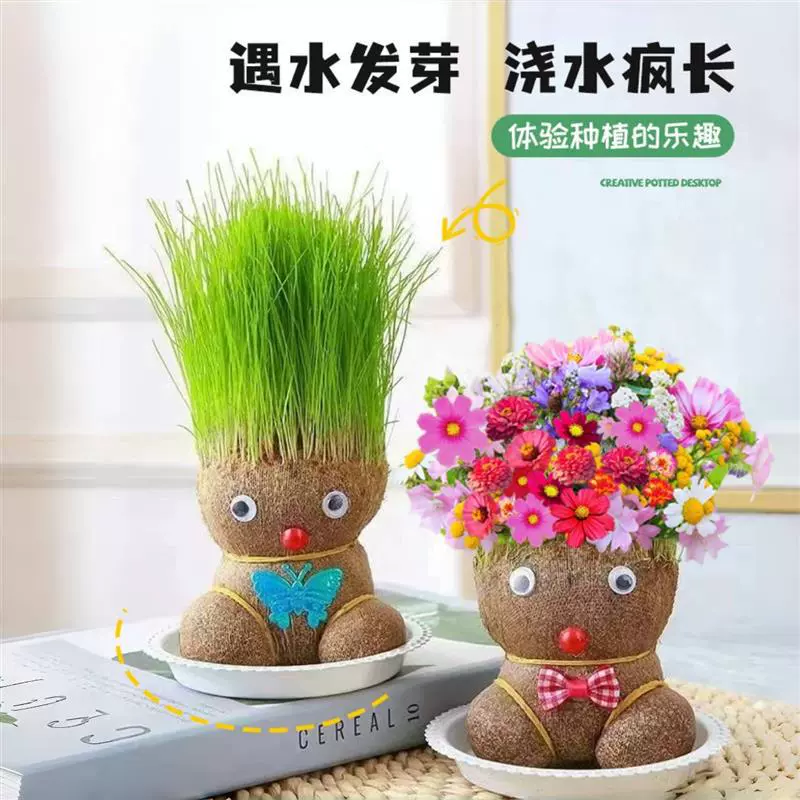 Grass doll blooming cute long grass cat grass green plant small potted grass doll indoor children creative hydroponics