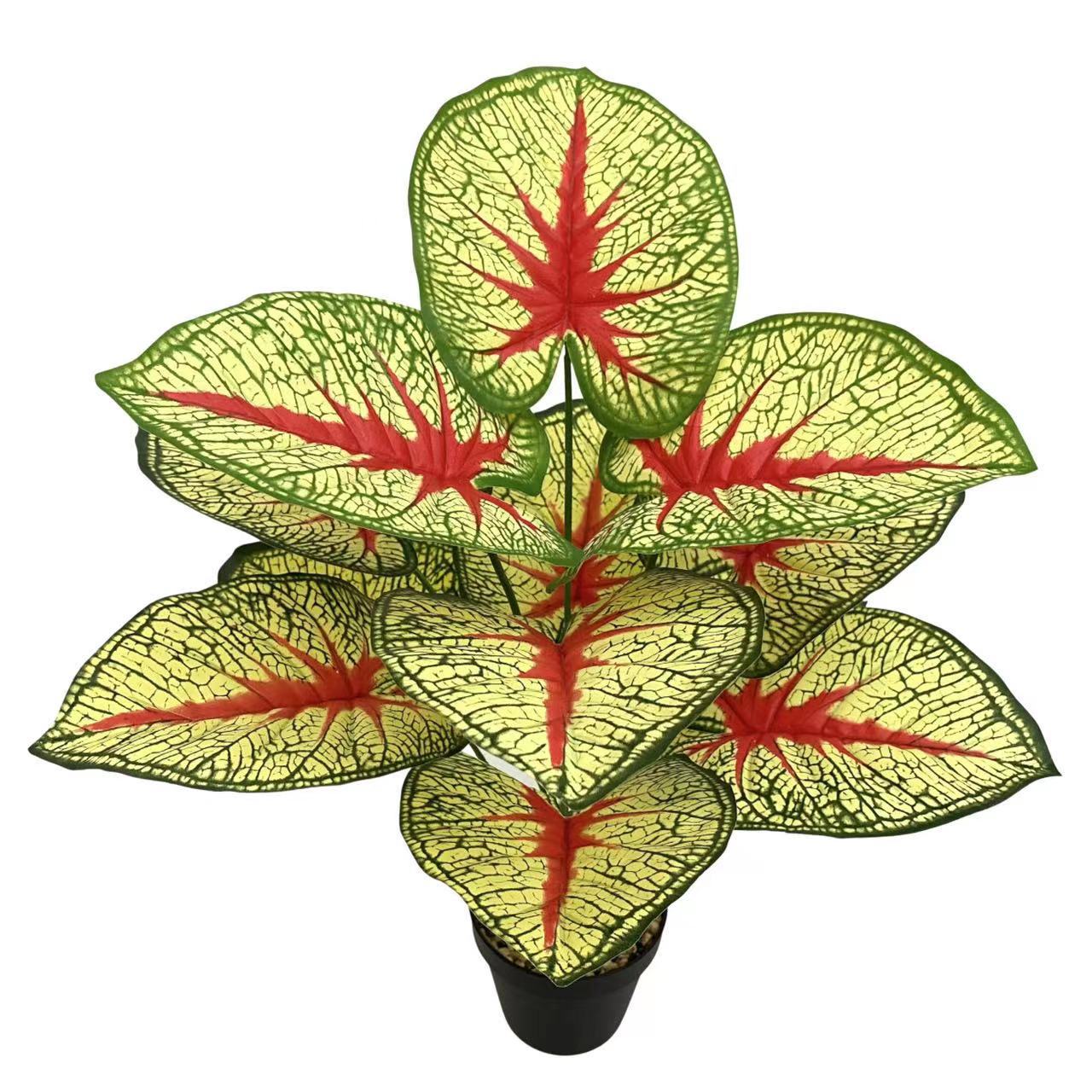 微信图片_20230222152145