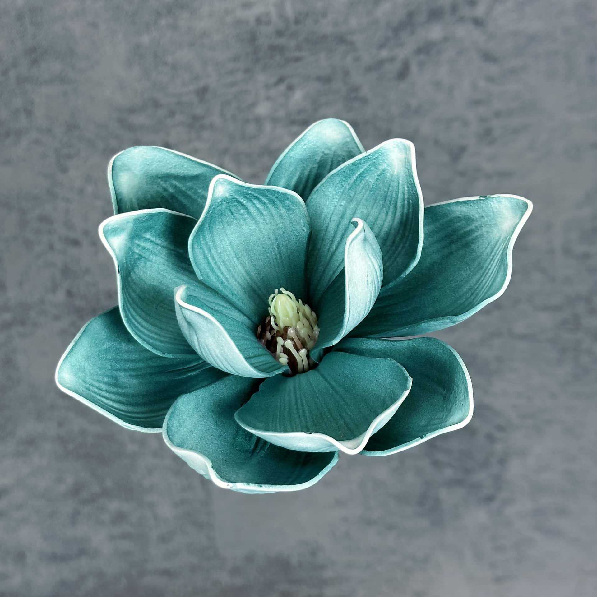 Flor de simulación transfronteriza EVA cabeza de magnolia 13cm tacto tocado kapok decoración decoración decoración flor falsa al por mayor