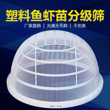 �γ��������~�Y�~��Y��N�a�~���q��С�ּ����z�Y�ӷ��x�֒��Y��