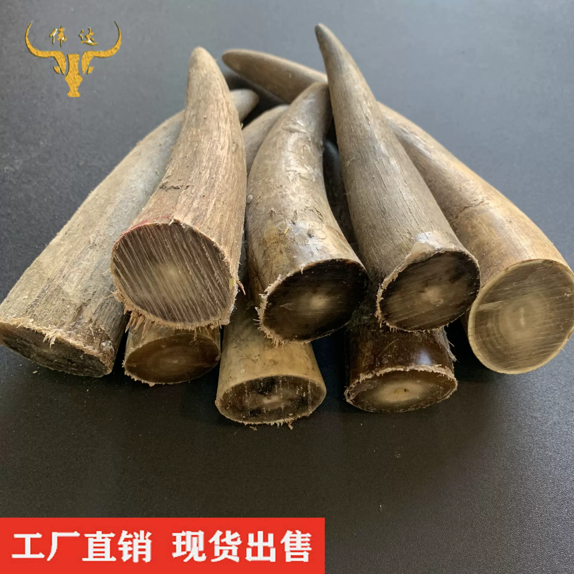 白牦牛角尖牛角尖实心原材料牛角印章佛珠纽扣原材料牛角梳子厂家