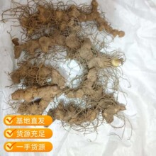 �r؛�໨�����S�� �N�����r�u�^�S���Nֲ������ŕ�Ŵ�^�����S��