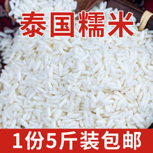 泰國糯米新米5斤10斤真空包裝純長粒糯米批發包粽子釀酒原糧進口