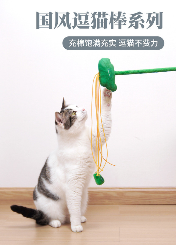 https://www.toonies.cn詳情_01.jpg_800x800.jpg