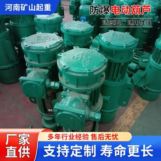 防爆电动葫芦BCD型钢丝绳电动葫芦定制2吨3吨固定运行式电动葫芦