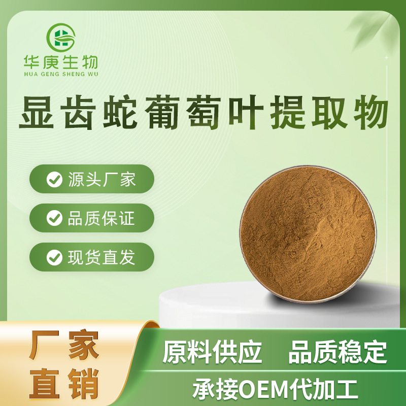显齿蛇葡萄叶提取物 藤茶提取物 20:1 藤婆茶浓缩粉 现货包邮