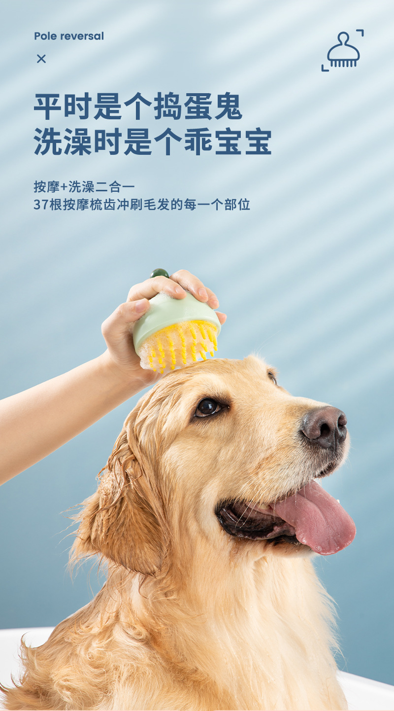 狗狗洗发梳_05.jpg