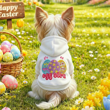 PETCIRCLE������b����؈���·������¿�Ȳʵ��ͻ�l��̩��