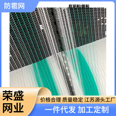 customized Yemen 3 years brand new anti-hail white Hail Crescent protect antioxidant