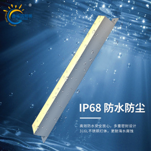 Ip68 Line Underwater Light 316L Stainless Steel Long Pool Light Swimming Pool Light Waterproof Colorful Underwater Light