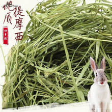 òݕĦݰݚwlጙĪɲüZ