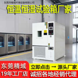 恒温恒湿试验箱实验室用高低温冷热冲击实验箱可程式高低温试验箱