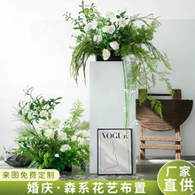 ��ɭϵ��c���Ż��ٻ��廨��Y���žGɫ����T̨·����ӭ�e