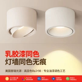射灯;筒灯;LED球泡灯