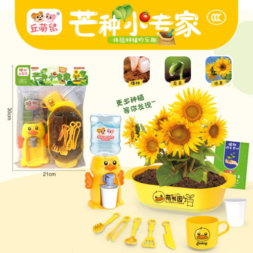 Children's DIY small potted plant play house toy scientific experiment plant seed vegetable planting blind box observation tool