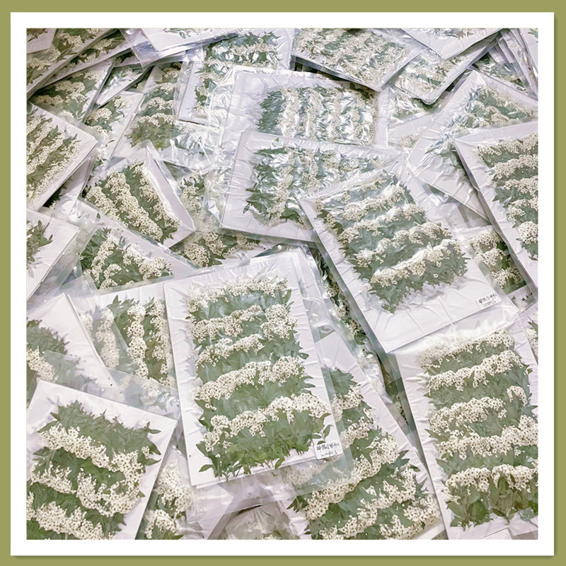 微信图片_20220918005440