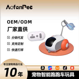 跨境爆款宠物跑跑车电动玩具猫咪用品智能自嗨解闷自动逗猫棒羽毛