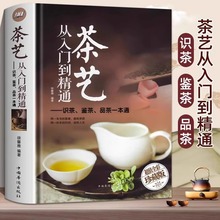 茶艺从入门到精通正版 茶艺全书学习中华茶道中国名茶叶品种常识