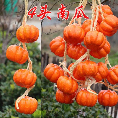 ③ⓠ❀➤✘ㄌ゠南瓜4头一串◄