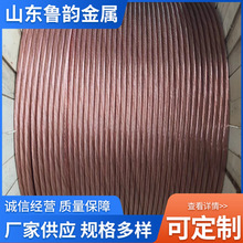 铜包钢绞线镀铜钢绞线 接地引下线 铜覆钢绞线 水平接地线