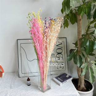 �������L⏻��S��ֱ�N�M���L⏻�С�L⏻�c�û���ˇ�OӋ���ļҾ�