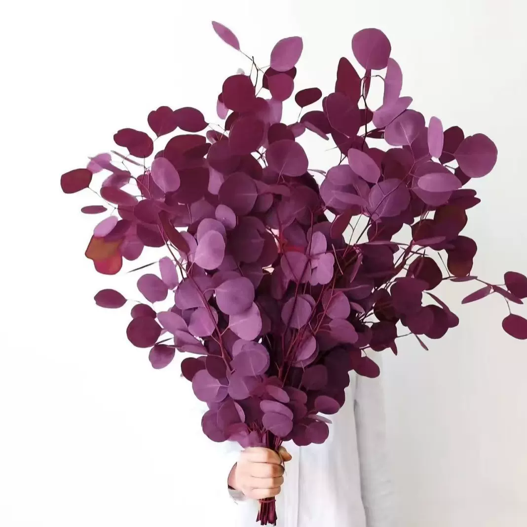 永生苹果叶桉树叶尤加利叶家居插花diy永生花小清新高级装修ins风