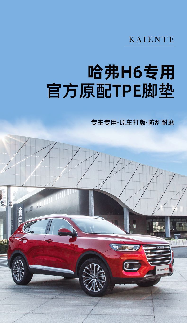 Suitable for Haval H6 Foot Mat TPE Car Foot Mat 24 Third Generation COUPE Harvard Trunk Mat Rice Grain Pattern