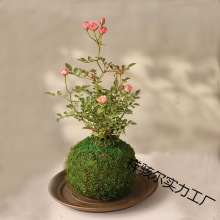 �����ļ��_�����㳬΢���¼�õ�弧�¼�̦�\���̨��̨����G���g