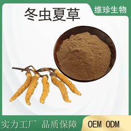 植物提取物;果蔬粉;其他冲调饮品