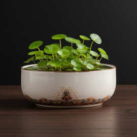 汝瓷水培花盆托盘陶瓷盆中式亚光桌面摆件水培米竹菖蒲果盆托盆景