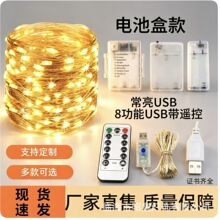 LED8功能USB铜线灯串圣诞装饰彩灯防水电池盒遥控铜丝灯10米100灯