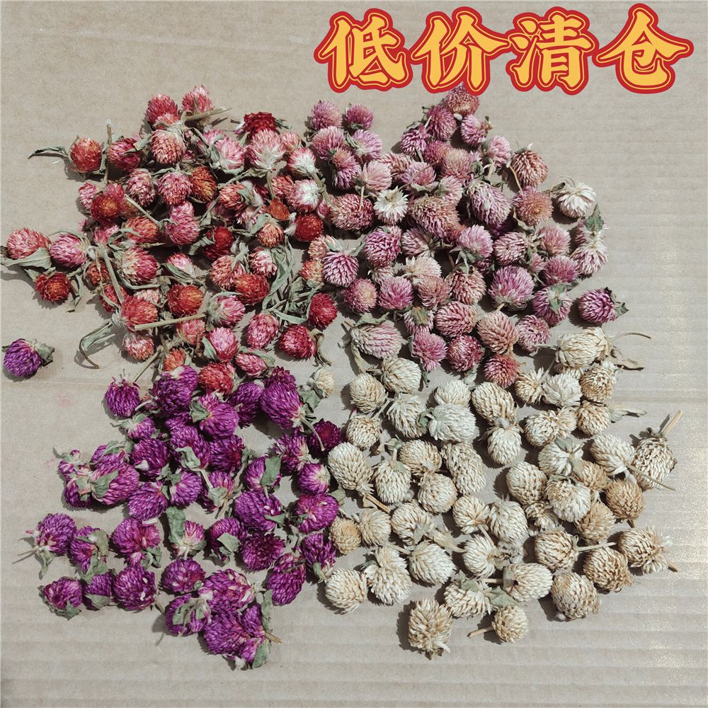 低价清仓云南产地干花批发原色迷你花头diy千日紫红巧梅花卉diy