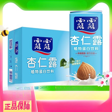 承德露露杏仁露浓情款240ml*24罐植物蛋白饮料露露送礼
