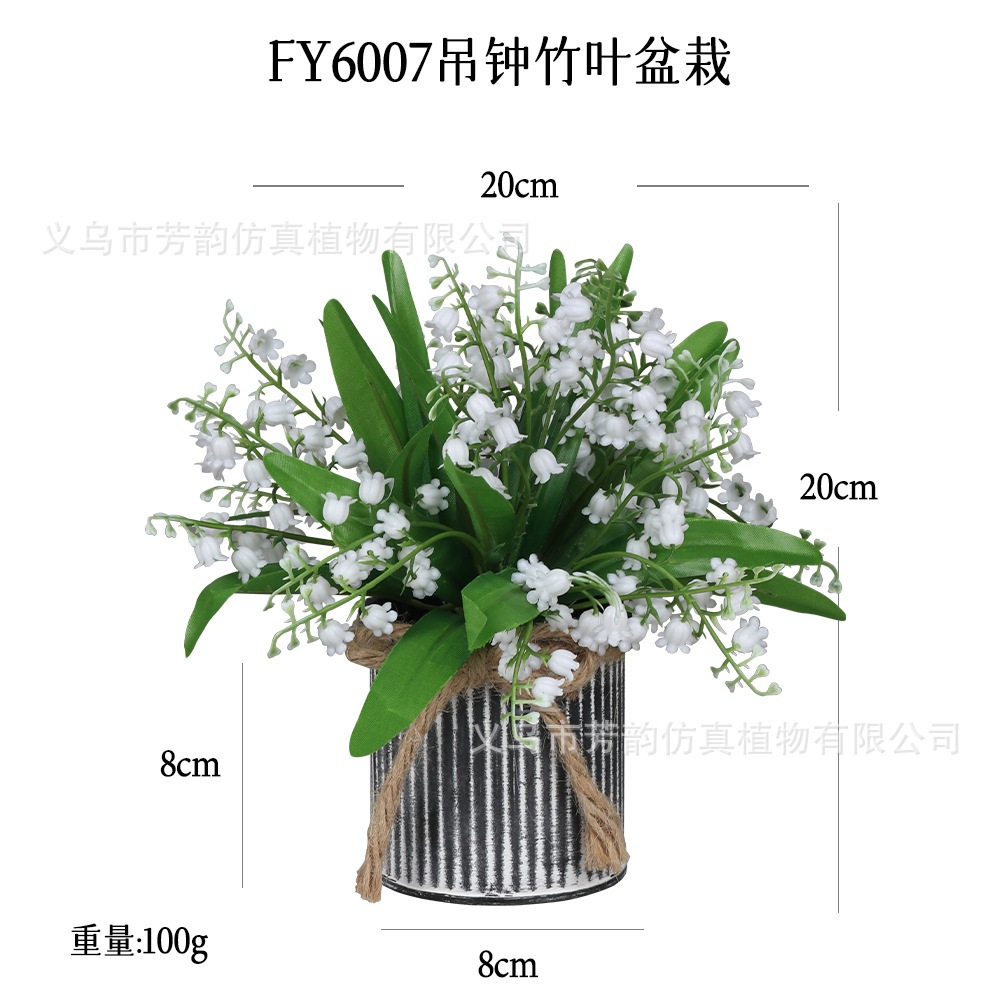 FY6007.jpg