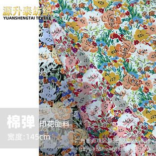 ���L�T�fС�黨 �\�ޏ���ӡ������ƽ�y ���ļ��r���B��ȹ���ϏS��