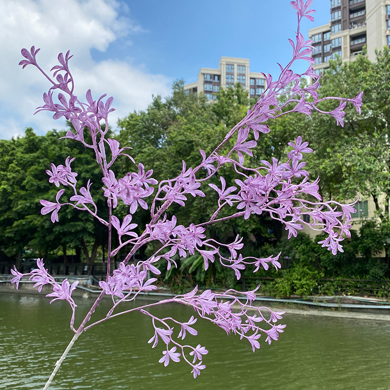 플라스틱 Oncidium-보라색