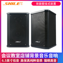 会议音响 狮乐BX101室内背景音乐壁挂音箱 6.5寸木制音箱