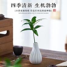 ���ˮ��ֲ���҃�����С�����ļ�������B������Ҭ�ӶU��Gֲ�[��