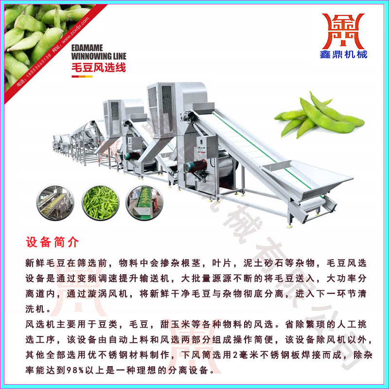 速冻毛豆清洗机即食毛豆专用清洗机大型绿毛豆加工流水线设备厂家