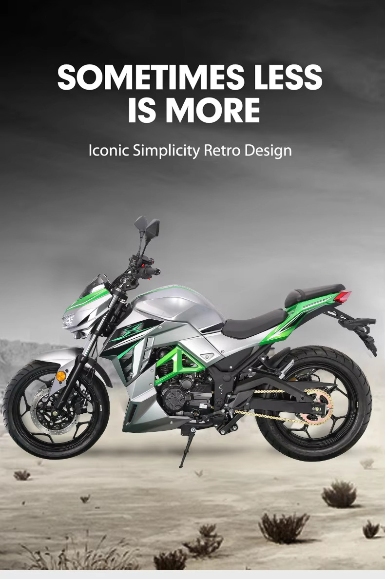 New Xixi Brand New Python Dms Motorcycle Sports Car Large Displacement Adult Cool High-Speed Motorcycle Racing Air-Cooled