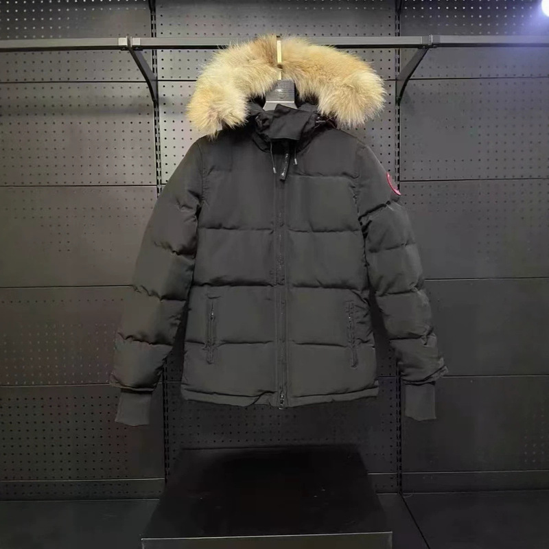 New Putian 04 model women's goose down jacket, waist-cinching style, winter women's clothing, stand-up collar, trendy coat, wholesale New Putian 04 model women's goose down jacket, waist-cinching style, winter women's clothing, stand-up collar, trendy coat, wholesale